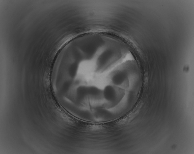 X0000095521409200801041213