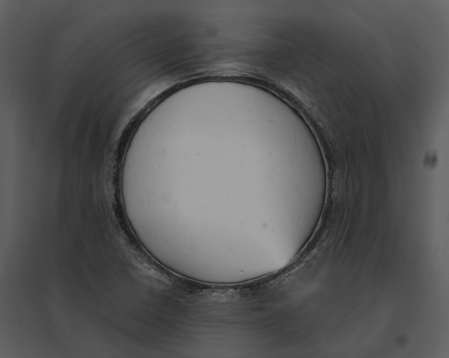 X0000095521410200801041213