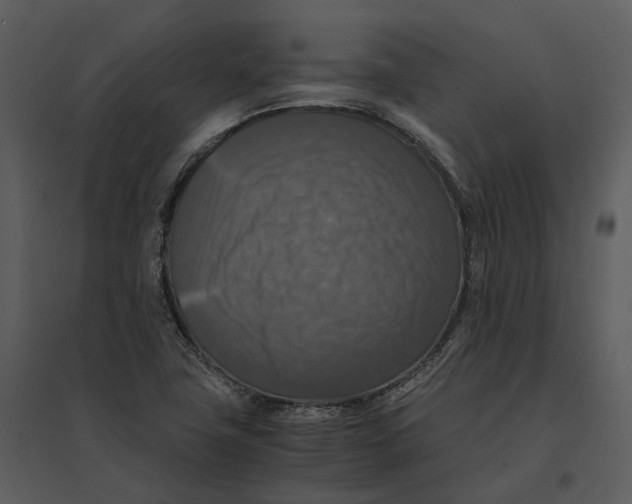 X0000095521411200801041213