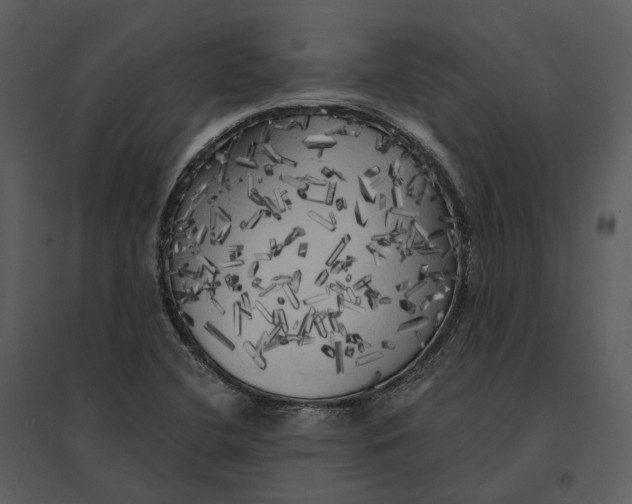 X0000095521412200801041213