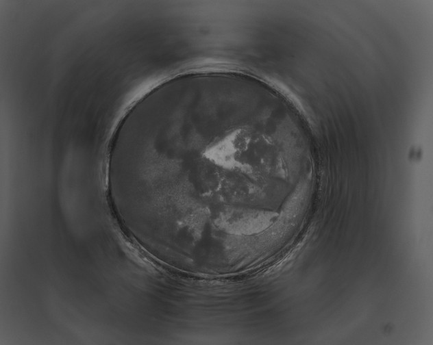 X0000095521413200801041213