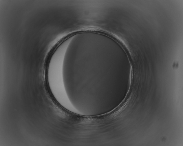 X0000095521414200801041213