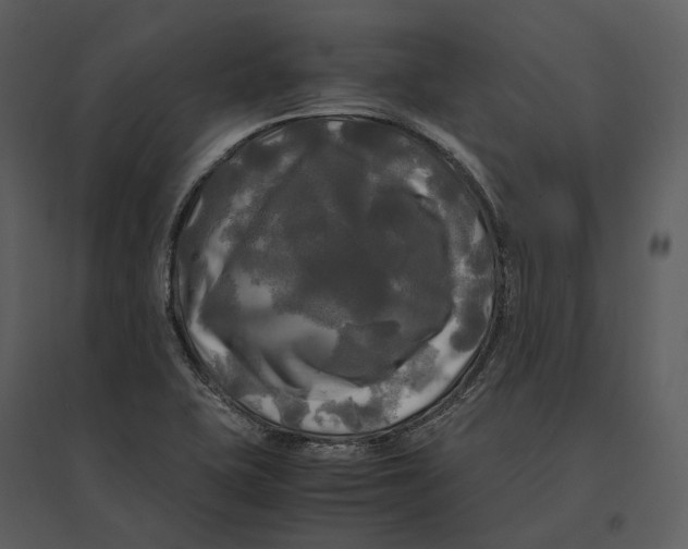 X0000095521415200801041213