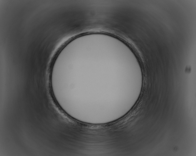 X0000095521416200801041213