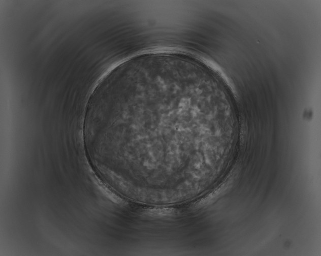 X0000095521417200801041213