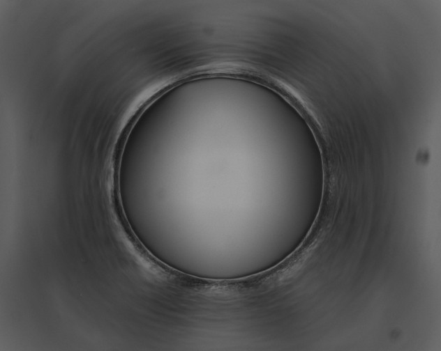 X0000095521418200801041213