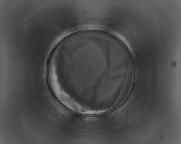 X0000095521419200801041213