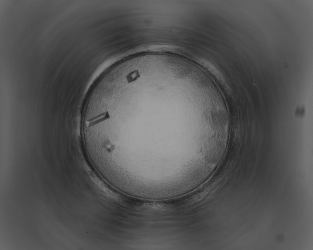 X0000095521420200801041213