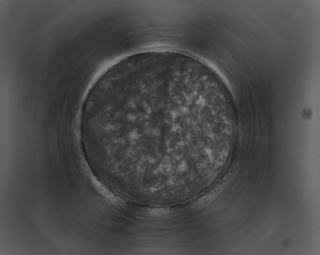 X0000095521421200801041213