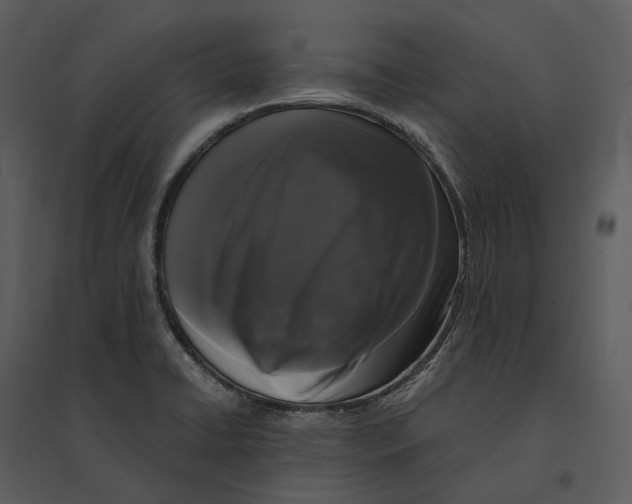 X0000095521422200801041213