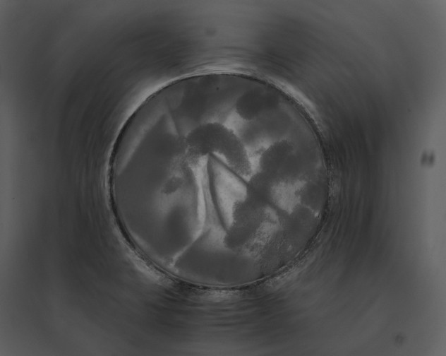 X0000095521423200801041213