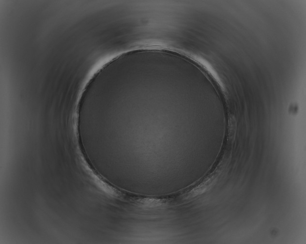 X0000095521424200801041213