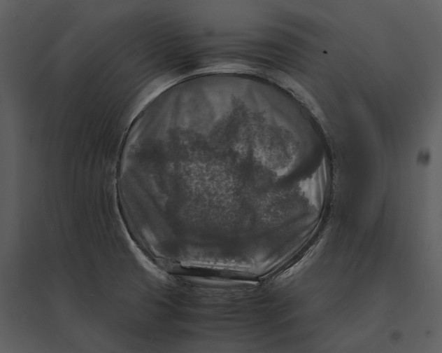 X0000095521425200801041213