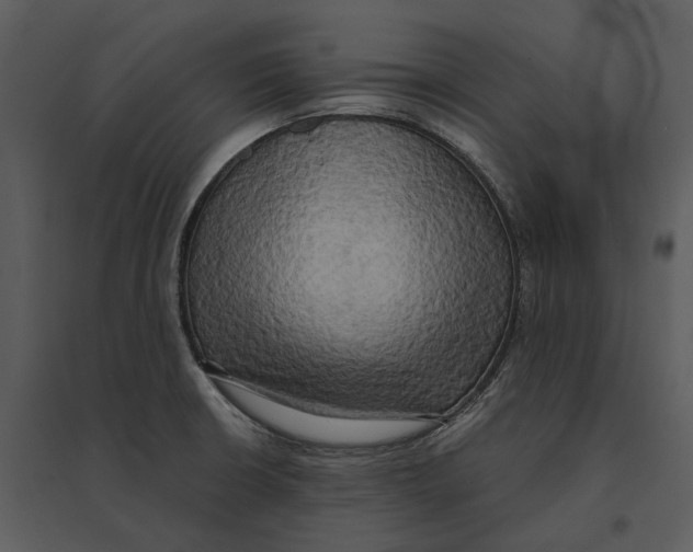 X0000095521426200801041213