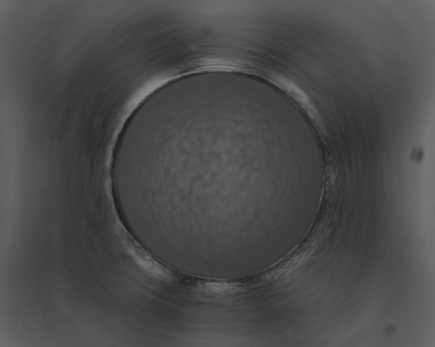 X0000095521427200801041213