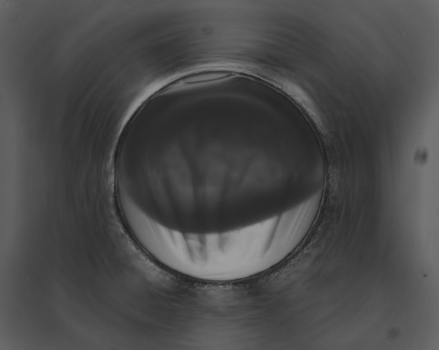 X0000095521428200801041213