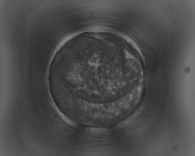 X0000095521429200801041213