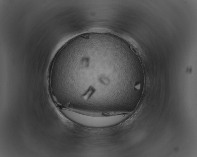 X0000095521430200801041213