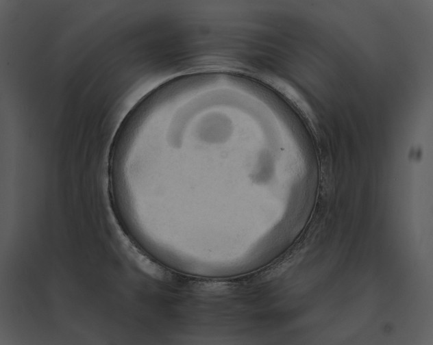 X0000095521431200801041213