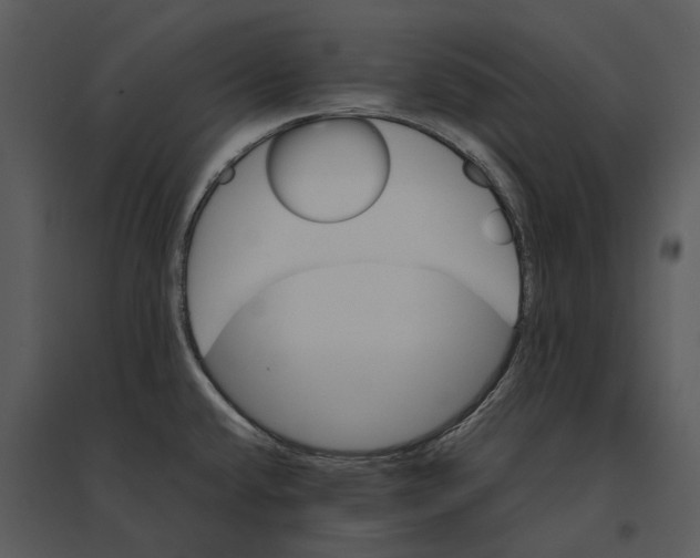 X0000095521432200801041213