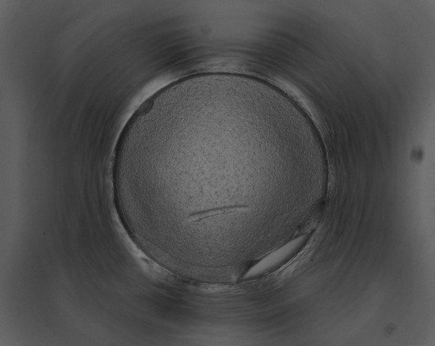 X0000095521434200801041213