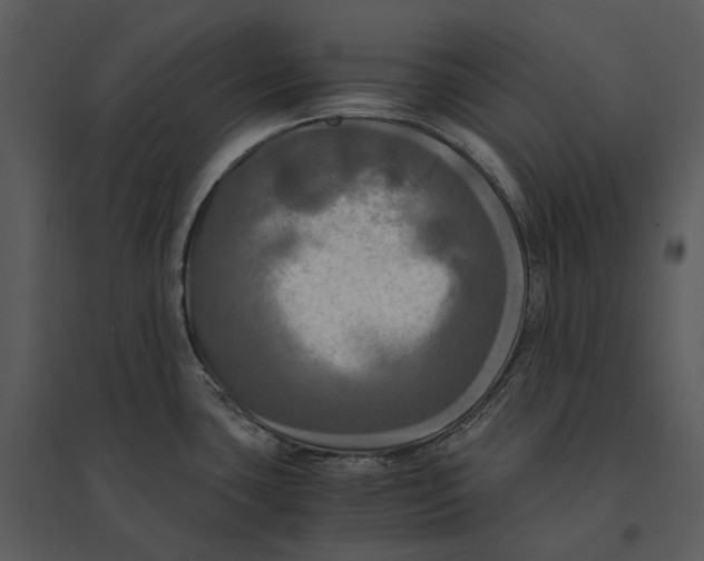 X0000095521435200801041213