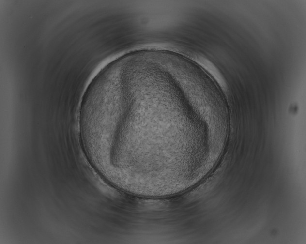 X0000095521436200801041213