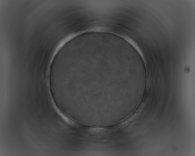 X0000095521437200801041213