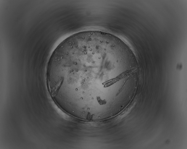 X0000095521438200801041213