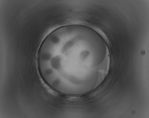 X0000095521439200801041213