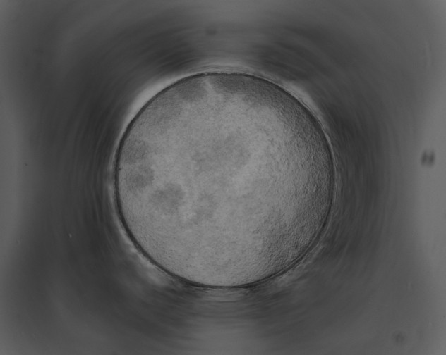 X0000095521440200801041213