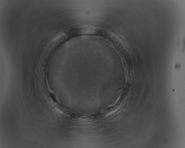 X0000095521441200801041212