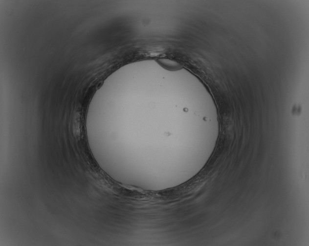 X0000095521442200801041212