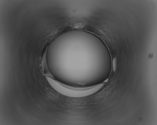 X0000095521443200801041212