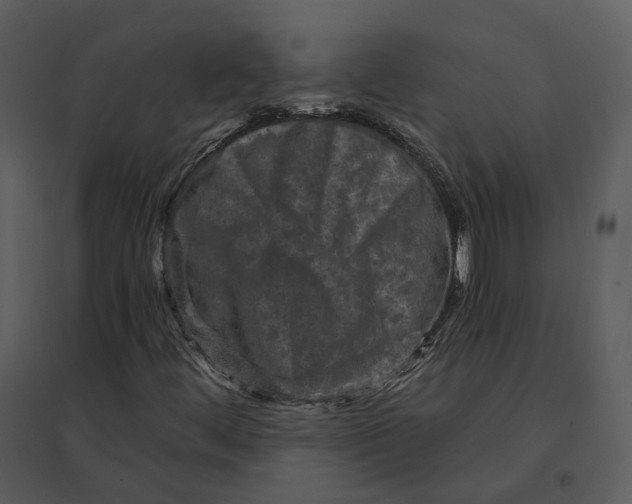 X0000095521444200801041212