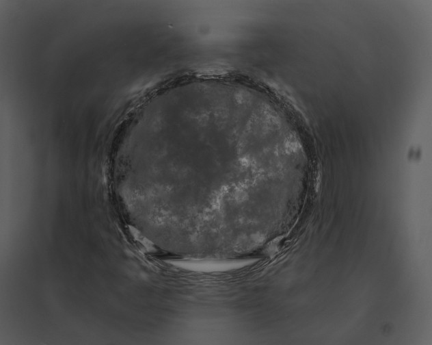 X0000095521445200801041212