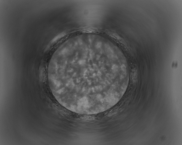 X0000095521446200801041212