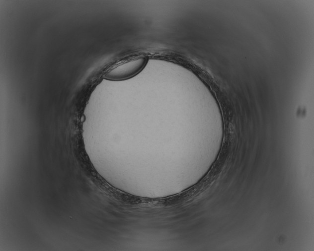 X0000095521447200801041212