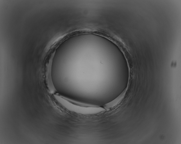 X0000095521448200801041212