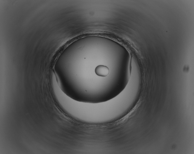 X0000095521449200801041212