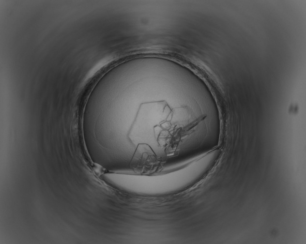 X0000095521450200801041212