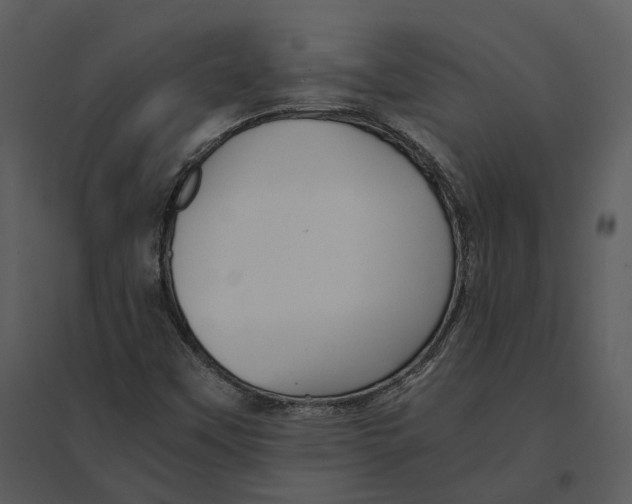 X0000095521451200801041212