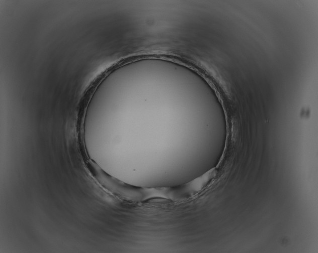 X0000095521452200801041212