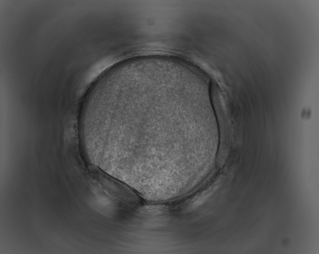 X0000095521453200801041212