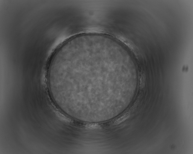 X0000095521454200801041212