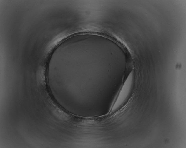 X0000095521455200801041212