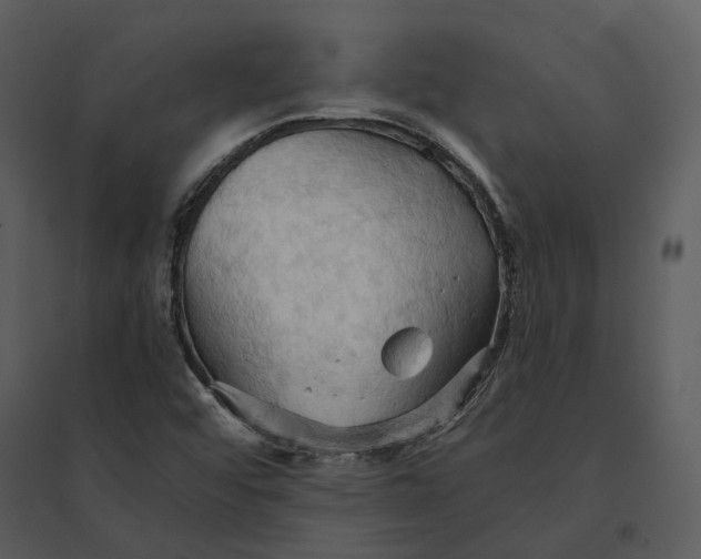 X0000095521456200801041212