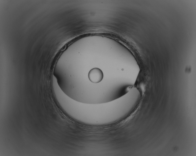 X0000095521457200801041212