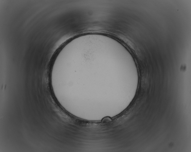 X0000095521458200801041212