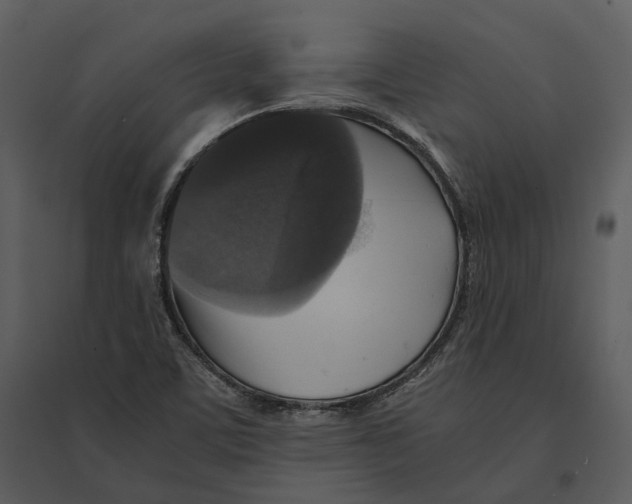 X0000095521459200801041212